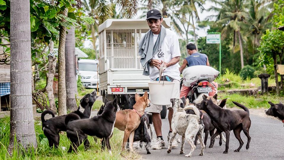 Bawa Wild Dog Feeding