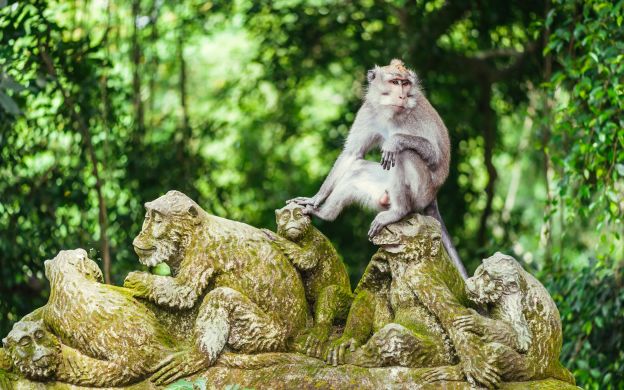 Police Do Safety Check Ubud Monkey Forest | Bali Discovery
